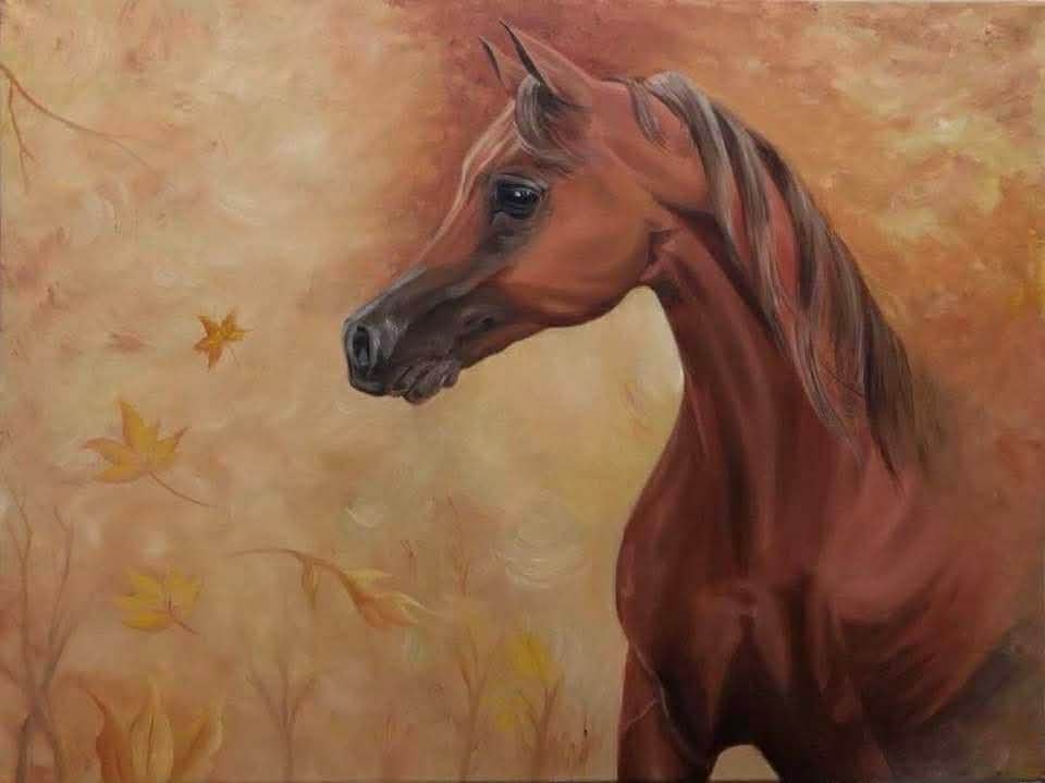 عاشق الخيل العربي