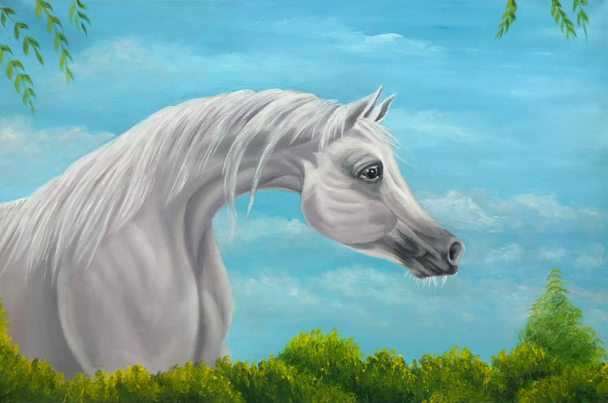 عاشق الخيل العربي