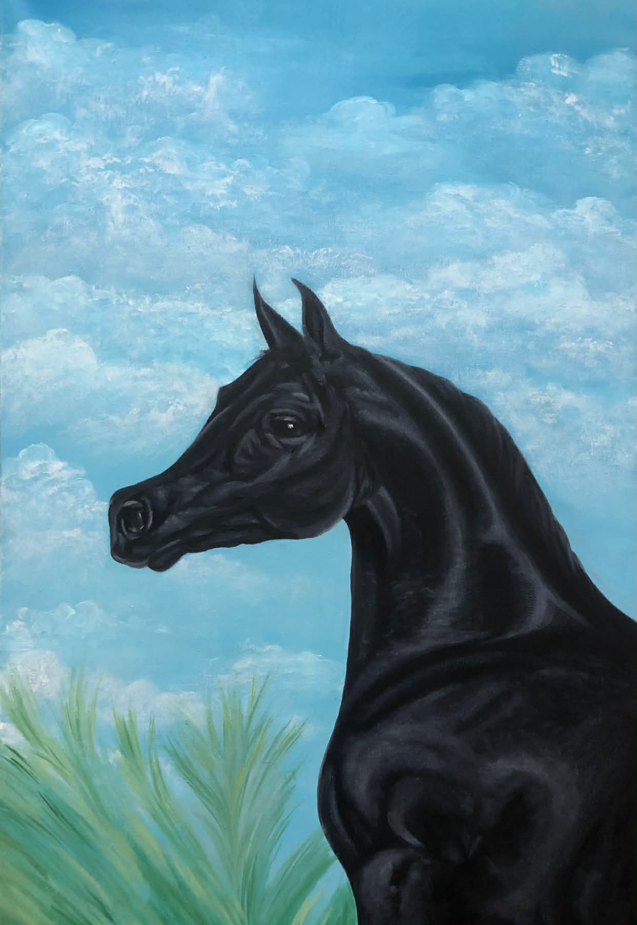 عاشق الخيل العربي