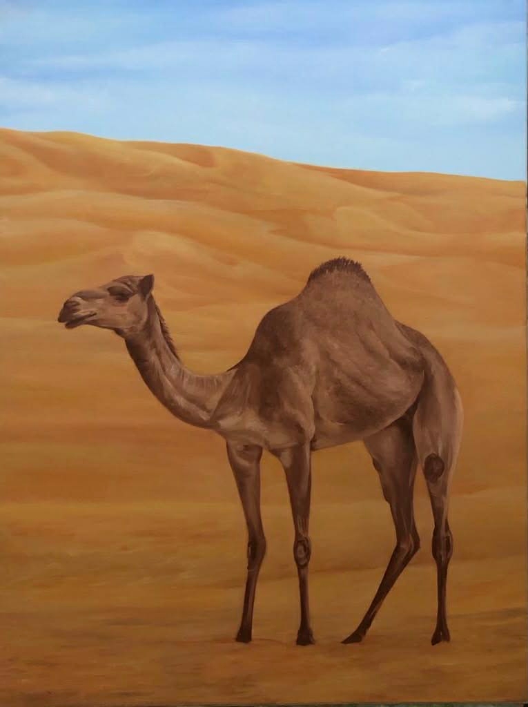 من الاجواء العربية
